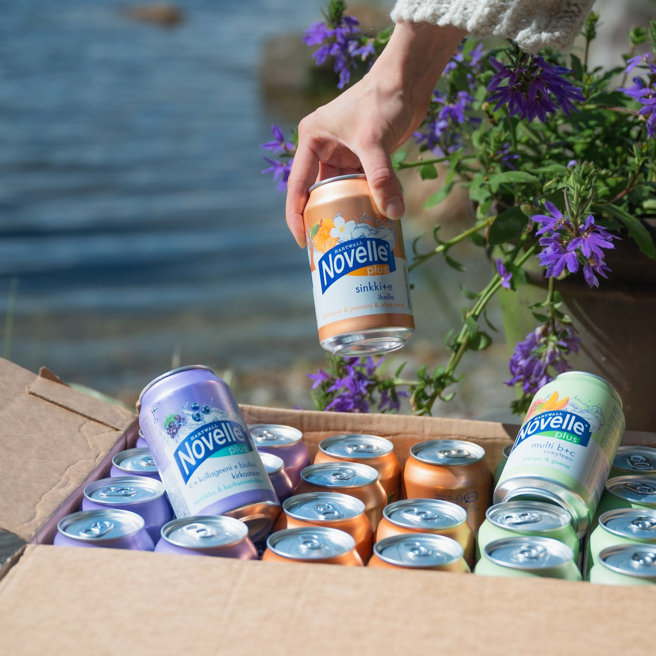 24 0,33 l Novelle Plus -tölkkiä